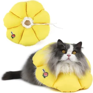 Cat Cone Collar,Cute Waterproof Cat Recovery Collar,Anti-Bite Lick Wound Healing Safety Elizabethan e Collar for Cat