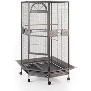 Corner Bird Cage for Cockatiel Parakeet Black and White