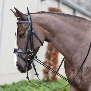 NEW 3M Horse Riding Bridle Halters Elastic Horse Neck Stretcher Horse Rein Racing Equipment Equestrian Supplies Training Tool
