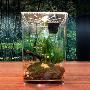 Transparent Acrylic Reptiles Pet Terrarium Feeding Tank Insect Snake Spiders Chameleon Breeding Boxes Cage Case House