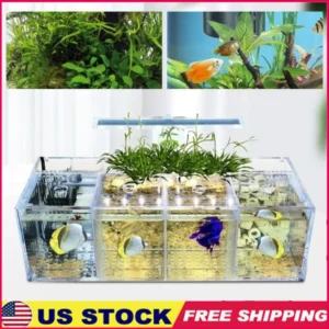 LED Acrylic Fish Tank with 4 Grids Isolation Box and Pump Transparent Design Multi-directional Water Circulation Betta Fish