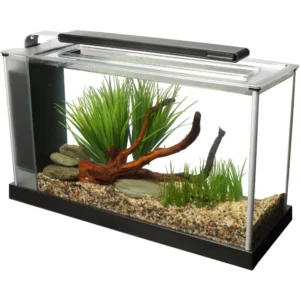 Fluval SPEC 5-Gallon Aquarium Kit with LED Light and 3-Stage Filter System