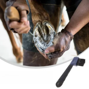 1PC Stainless Steel Hoof Brush Horse Grooming Tool Anti Rust Cleaning Practical Hoof Pick Care Копыта Equine Accessories