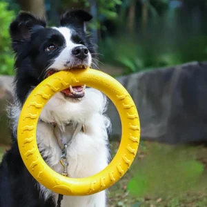 EVA Pet Toys, Interactive Frisbee Toy Balls for Dogs, Bite Resistant and Grinding Relieving Tension Rings, Dog Training Ring Toy