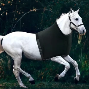 Horse Shoulder Guard Horse Chest Saver Protector Horse Vest Horse Protective Vest for Equestrian Sport