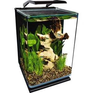 5 Gallons Portrait Glass LED Aquarium Kit with Hidden Filtration System for Home or Office Decor Modern Black Design with Energ