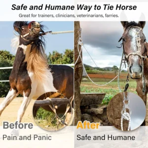 1 Set Heavy-Duty Horse Tie Ring Horse Accessories Horse Training Equipment Prevent Horses From Pulling Back