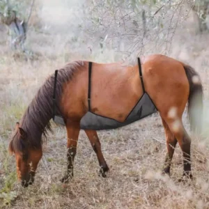 Horse Fly Sheet Belly Guard Summer Coverage Comfortable Pet Supplies Wrap
