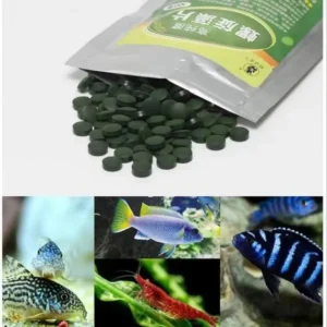 50/200/300/500pcs High Purity Spirulina Tablets Spiral Seaweed Enrichment Favorite Pets Food Fish Crystal Red Shrimp Fish Food