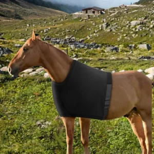 Horse Shoulder Guard Chest Guard Chest Saver Prevent Rug Rubs High Elastic
