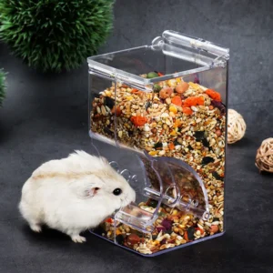 Hamster Automatic Transparent Food Feeder Plastics Simplicity Clear Strong  Samll Animal Food Bowl Pet Supplies
