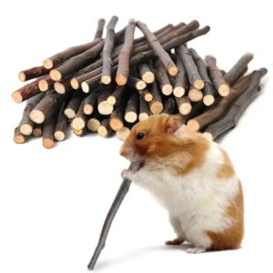 100% Natural Apple Branch Rabbit Chew Sticks Small Pet Chinchillas Netherlands Pig Hamster Bite Molars Clean Teeth Wooden Toys