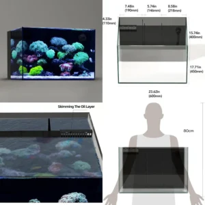 60P 26.23 Gallon Ultra Clear Glass Rimless Aquarium Tank with Rear Filtration for Saltwater and Freshwater
