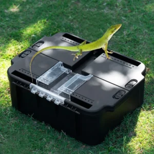Large Outdoor Gecko Lizard Carries Cage Reptile Tarantula Anti Escape Hamster Carries Cage Small Animal Snake Box Products