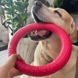Dog Ring Toys Indestructible Chewing Flying Floating Training Tools Fetch for Small Medium Large Dogs Throwing Catching Flying