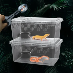 5pcs set of reptile pet cages, including 2 cages, 2 feeding bowls and 1 feeding clip, for snakes,insects, snails, lizards