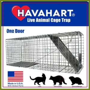 Large Humane Live Animal Trap Cage for Raccoons, Bobcats, Beavers, Dogs - Safe Catch and Release