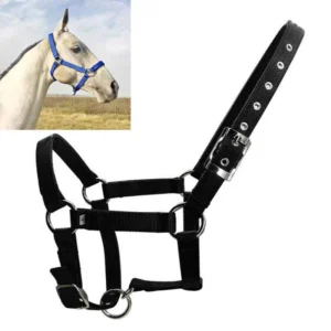 Black Adjustable Nylon Webbing Western Horse Halter Ergonomic Comfortable Equestrian Riding Wear Halter Neck for Horses Sizes