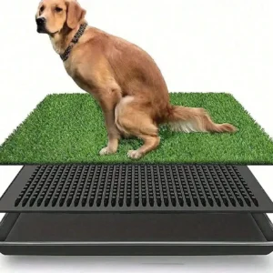 Artificial Grass Dog Potty Mat: Anti-Slip Odor-Resistant, Easy-to-Clean for Indoor/Outdoor Training